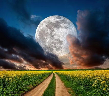 2024/12/Moon-age.jpg