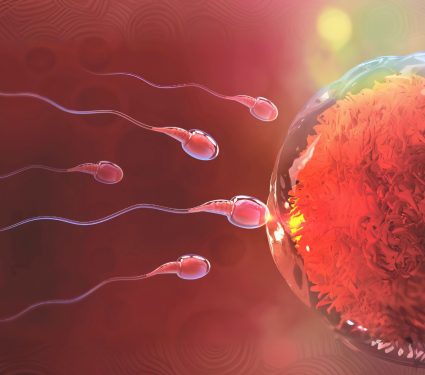 2024/12/Sperm-space.jpg