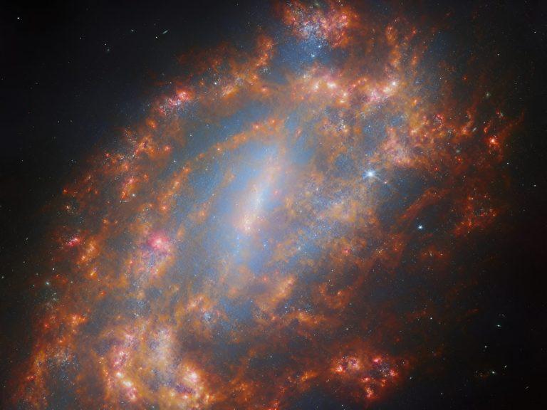 2024/12/NGC-1559.jpeg