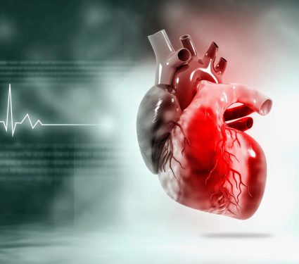 2024/12/Heart-regenerate.jpg