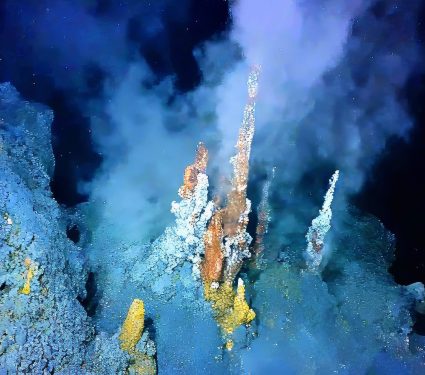 2024/12/Life-hydrothermal.jpg