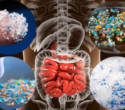 2024/12/strange-plastic-bits-inside-human-body.jpg