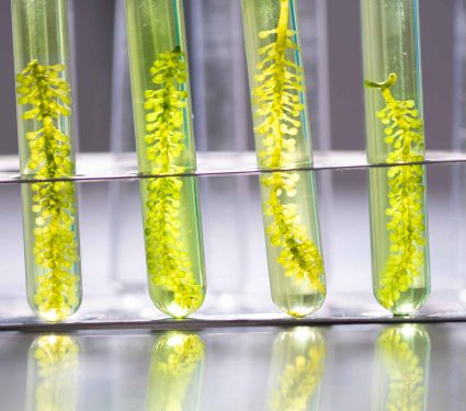 2024/12/is-methanol-the-next-green-power-player.jpg