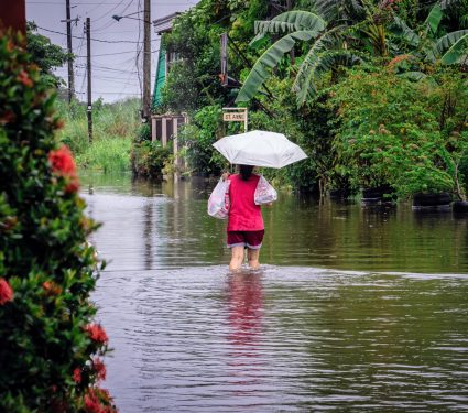 2024/12/Extreme-rainfall.jpg