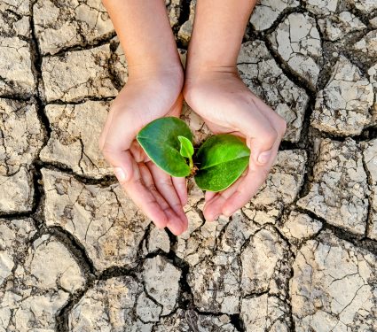 2024/12/Drought-crisis.jpg