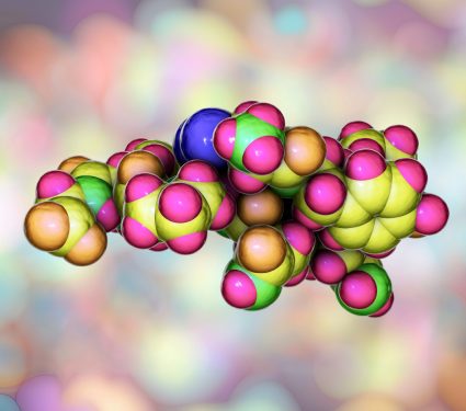2024/12/Oxytocin-social.jpg