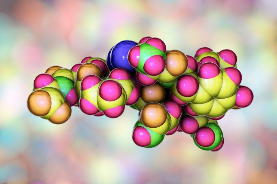 Oxytocin is crucial beyond its role as the 'love hormone'