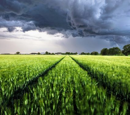 2024/12/Rainfall-extreme.jpg