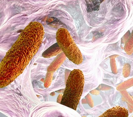 2024/12/Resistance-antibiotic.jpg