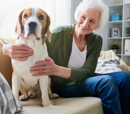 2024/12/Dog-longevity.jpg