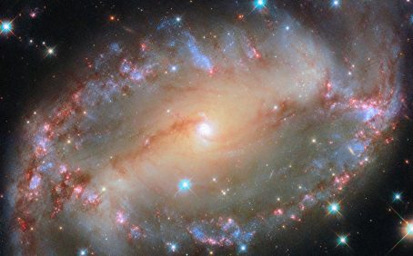 2024/12/NGC-2566.jpg