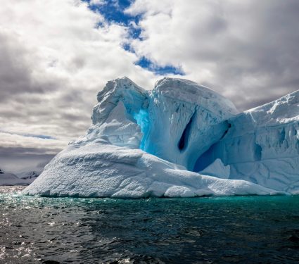2024/12/Antarctica-icebergs.jpg