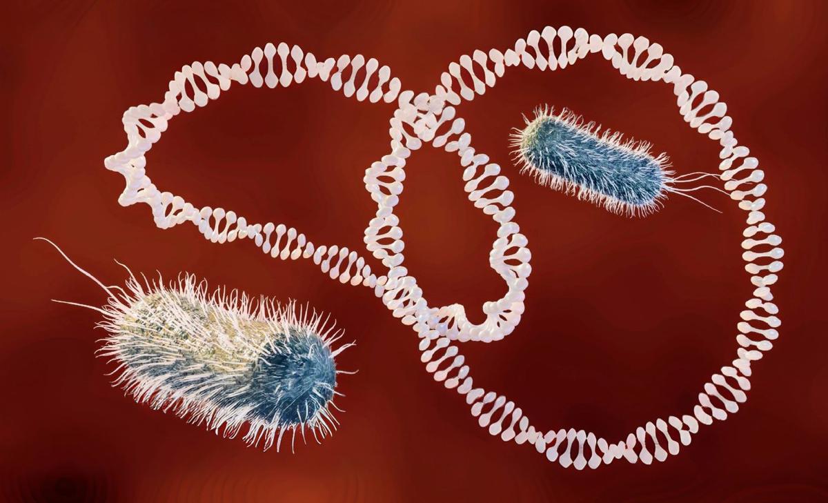 How bacteria share genes and defy defenses
