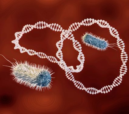 2025/01/Bacteria-defense2.jpg