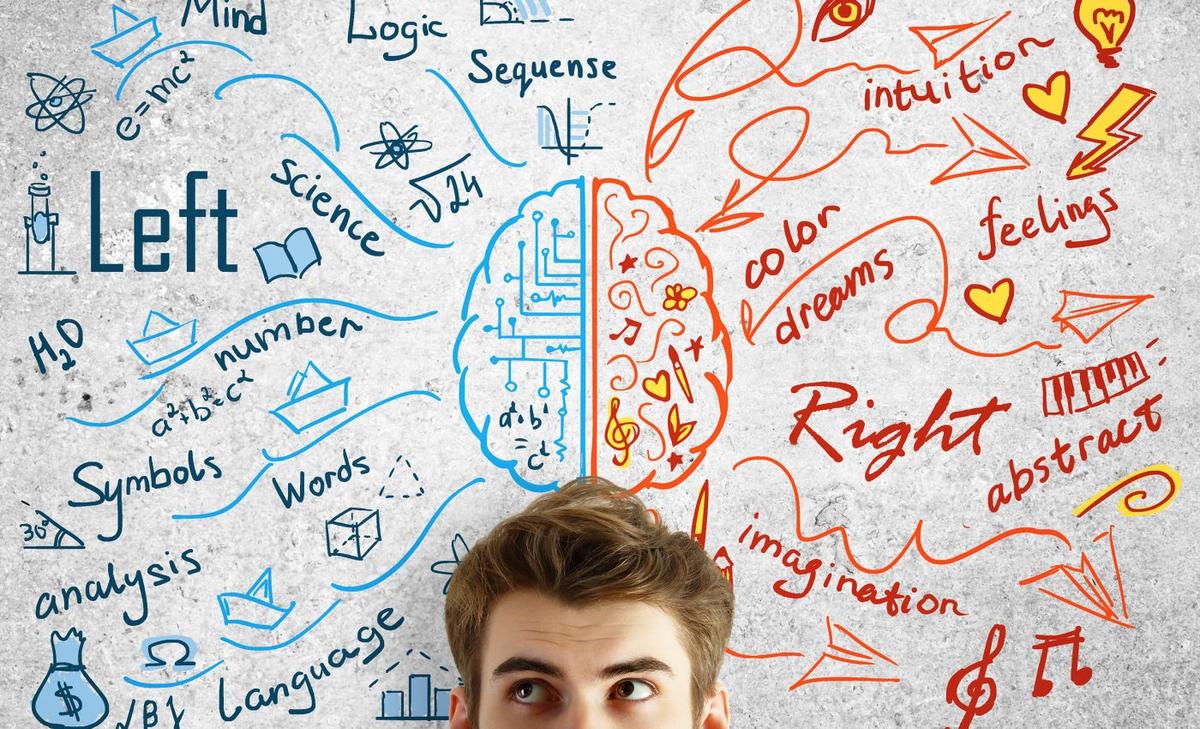 Words shape how our brains process feelings and guide decisions