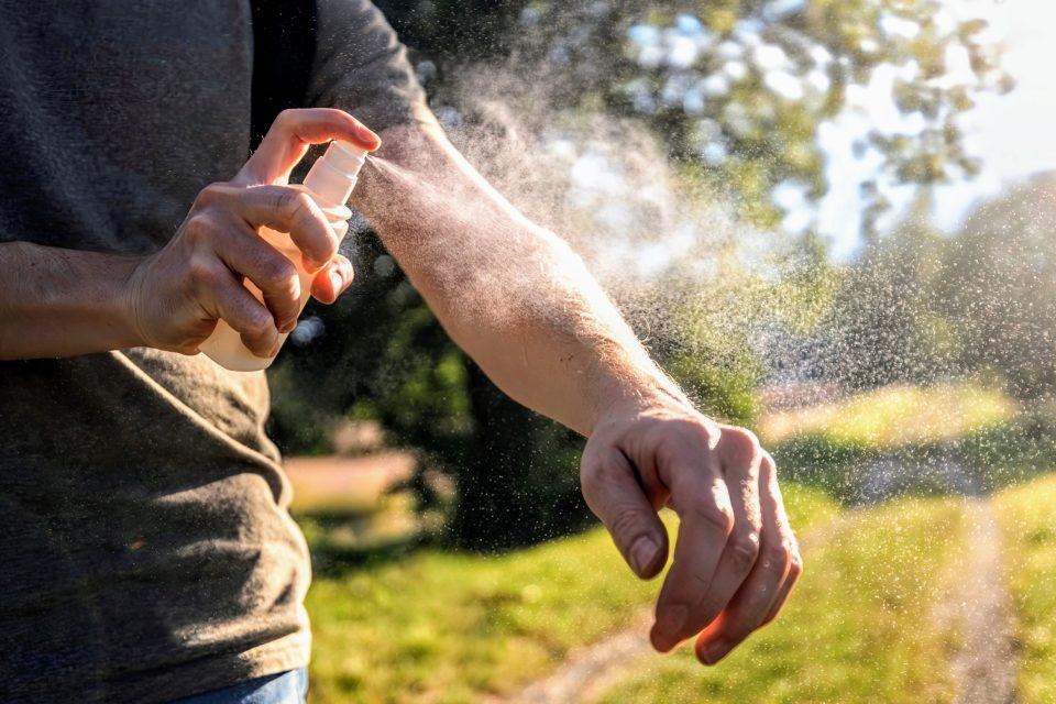 Mosquitoes bite more often during droughts to stay hydrated