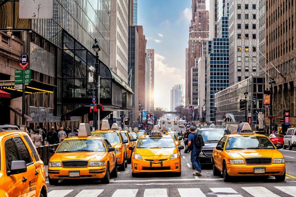 Ant-inspired traffic solutions could improve urban mobility