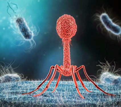 2025/02/Viruses-bacteria.jpg