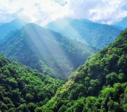2025/02/Green-earth.jpg