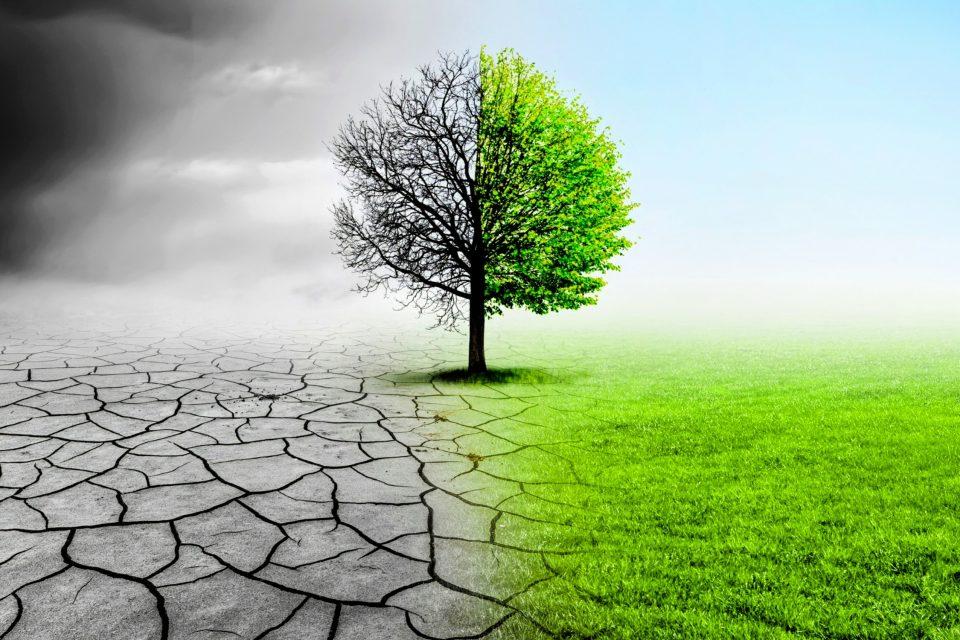 Biodiversity leaks: Conservation efforts may shift harm elsewhere