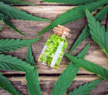 2025/02/THC-CBD.jpg