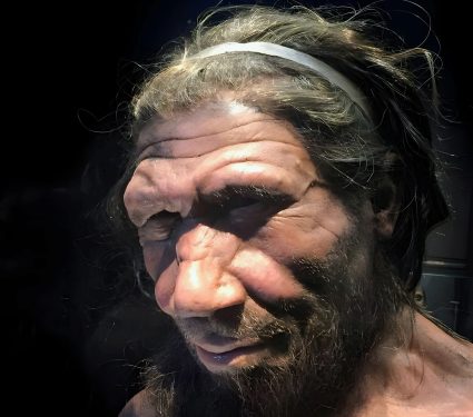 2025/02/Neanderthas-genetic.jpg