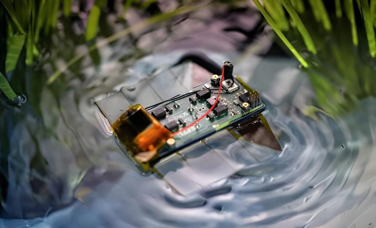 Aquatic robot inspired by flatworms can swim in harmony with nature