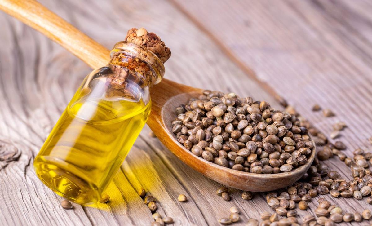 Hemp seeds could be a 'game-changer' as an alternative protein source