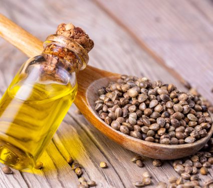 2025/03/new-sustainable-protein-cannabis-seeds.jpg