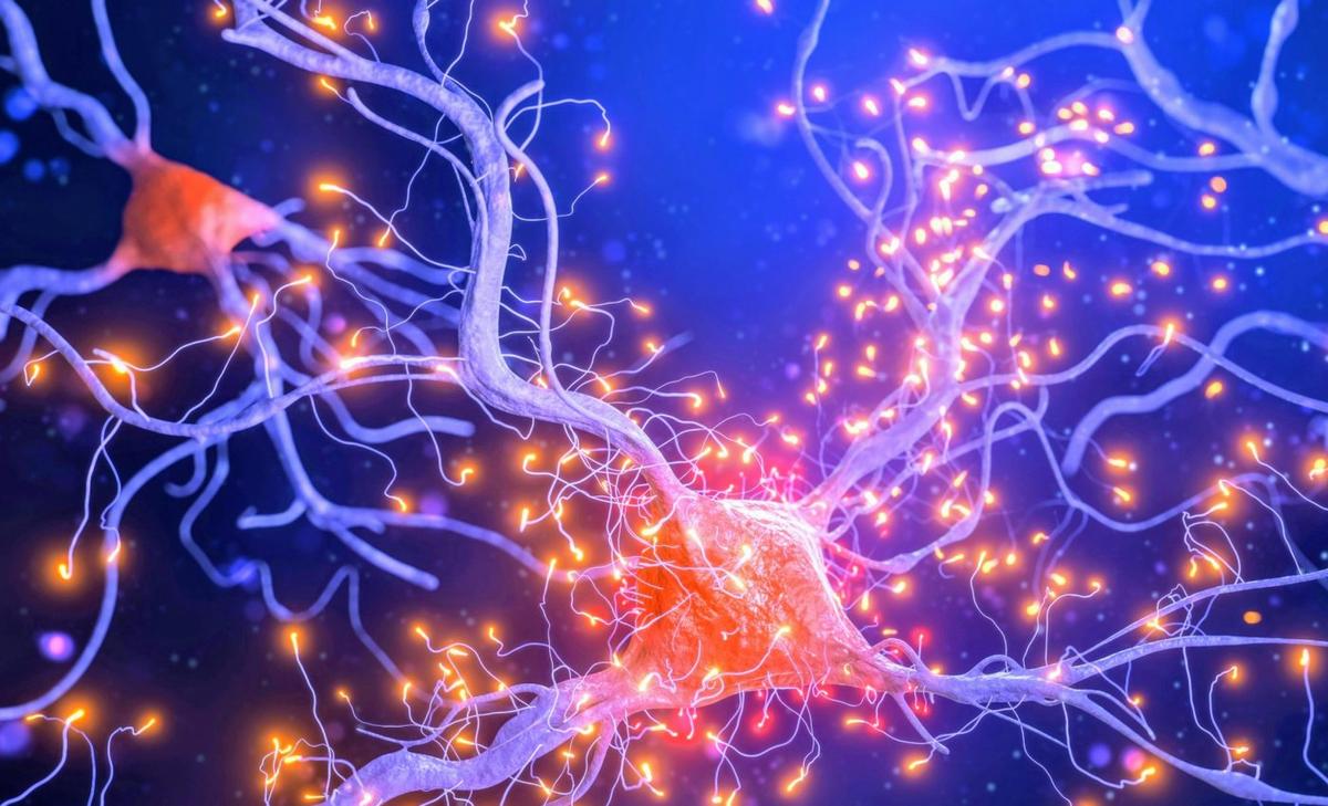 Skin cells can now be directly converted into neurons
