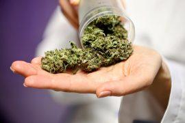 2025/03/Cannabis-heart.jpg