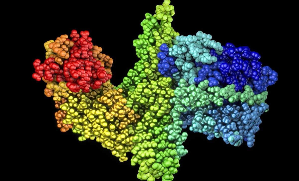 Breathing without oxygen: How ancient microbes powered early life