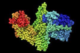 2025/03/Ancient-microbes.jpg