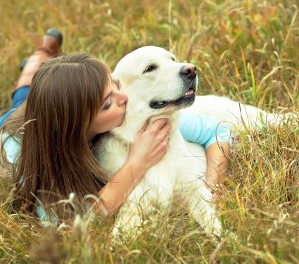 Young,Golden,Retriever,For,A,Walk,With,His,Owner.,Dog