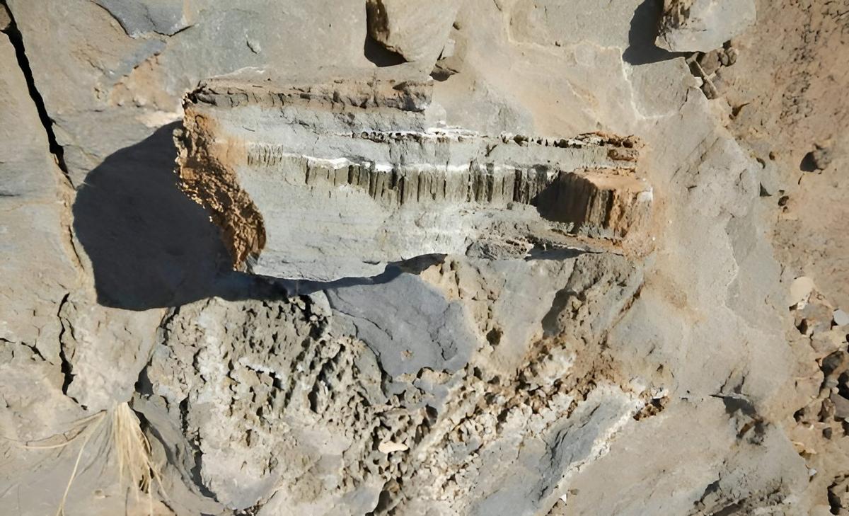 Unknown life forms discovered living in marble and limestone rocks
