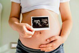 2025/03/Embryo-health.jpg