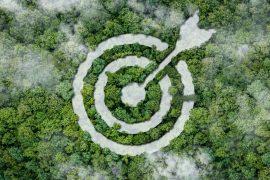 2025/03/Climate-targets.jpg