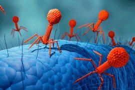 2025/03/Bacteria-memory.jpg