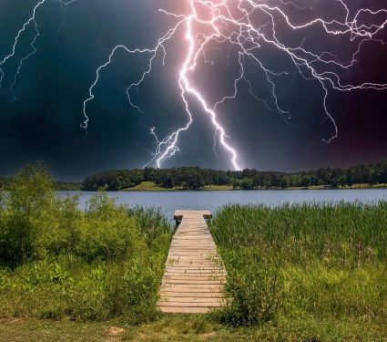 2025/03/Trees-lightning.jpg