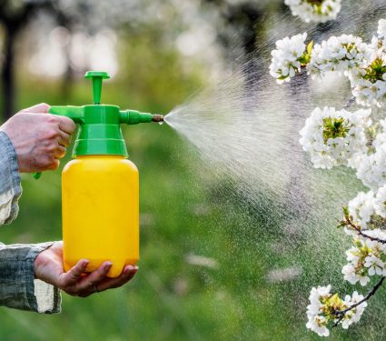 2025/03/Insecticides.jpg