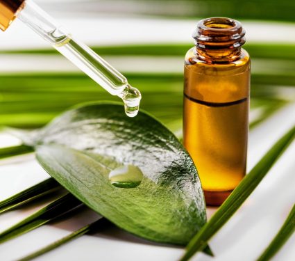 2025/04/Plant-extract-metabolic-syndrome.jpg