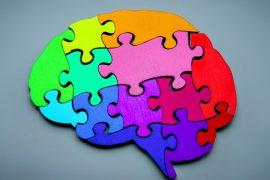 2025/04/Brain-reasoning.jpg