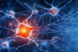 2025/04/Brain-learns.jpg