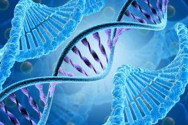 2025/04/DNA-information.jpg