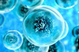 2025/04/Cells-sound.jpg