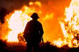 2025/04/Fire-survivors.jpg