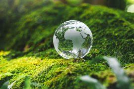 2025/04/Earth-Day-success.jpg