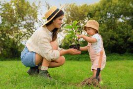 2025/04/Green-life.jpg