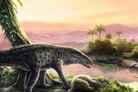 2025/04/Caribbean-predators.jpg