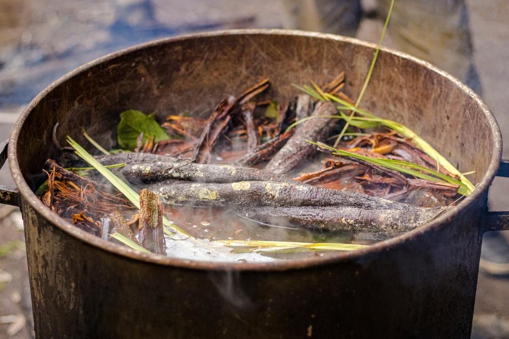 Psychoactive drink has healing power - but not for everyone